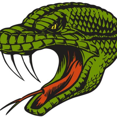 BAW SNAKE 14 RC Thumbnail