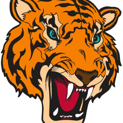 BAW TIGER 12 RC Thumbnail